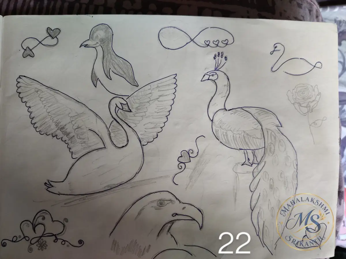Swan And Peacock Sketch Page — drawing by Mahalakshmi Srikanth